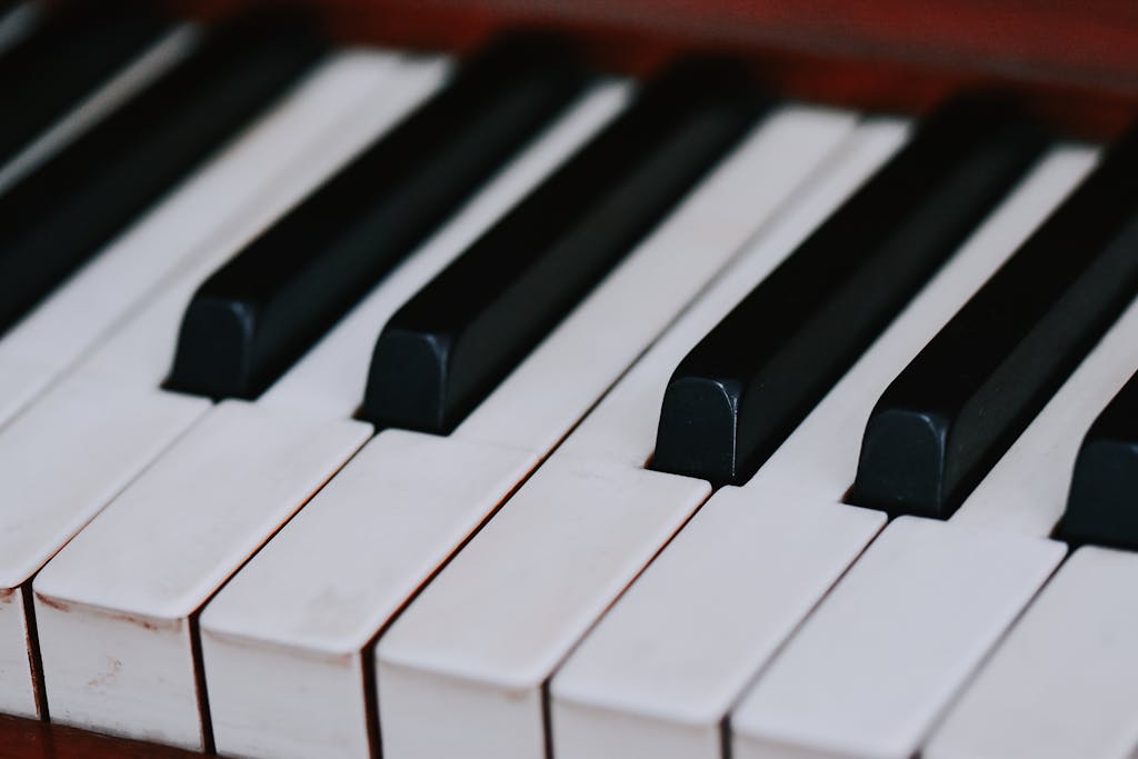 Detailed close-up of a piano keyboard showing black and white keys in focus.